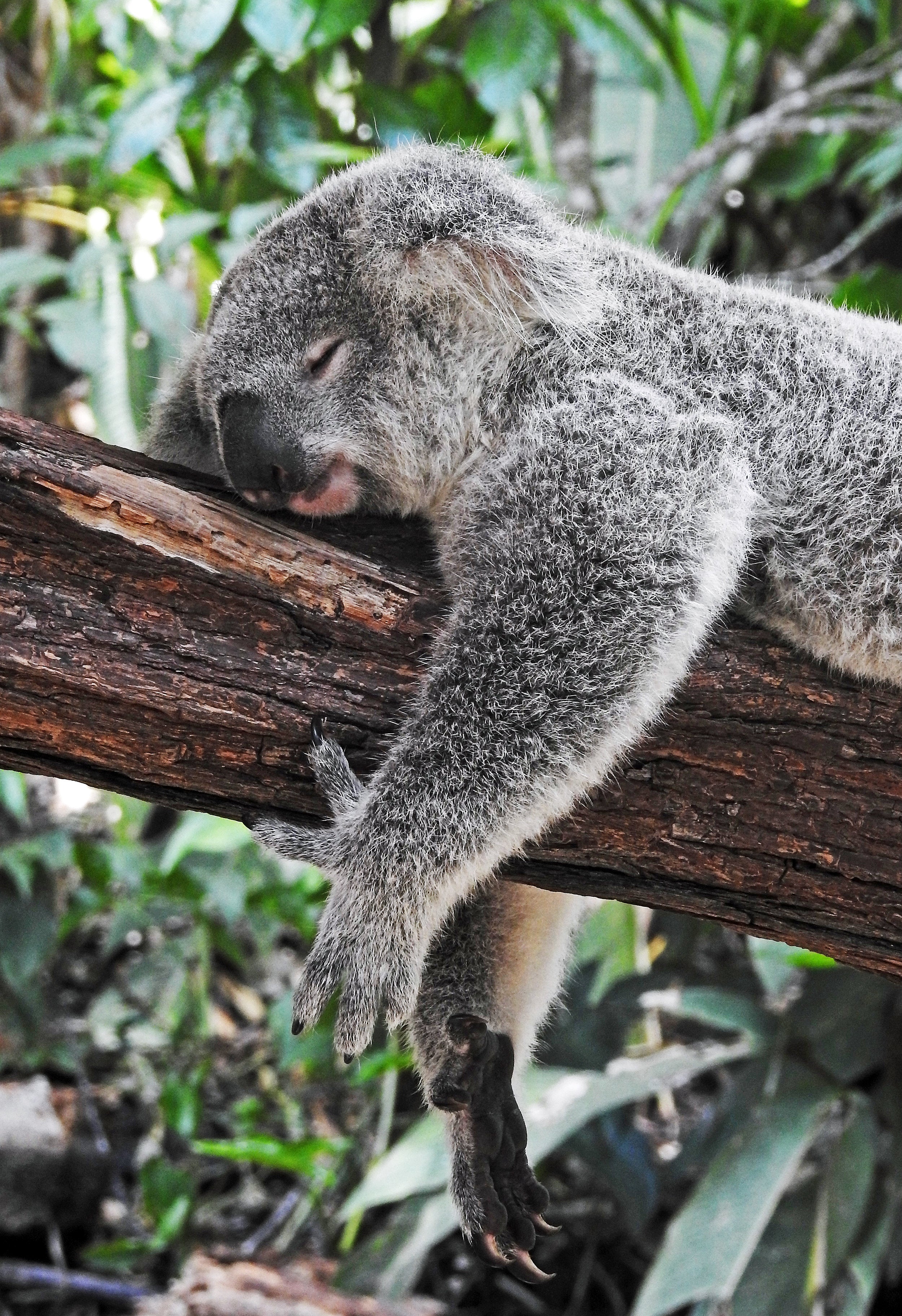 Kava and Sleep Quality