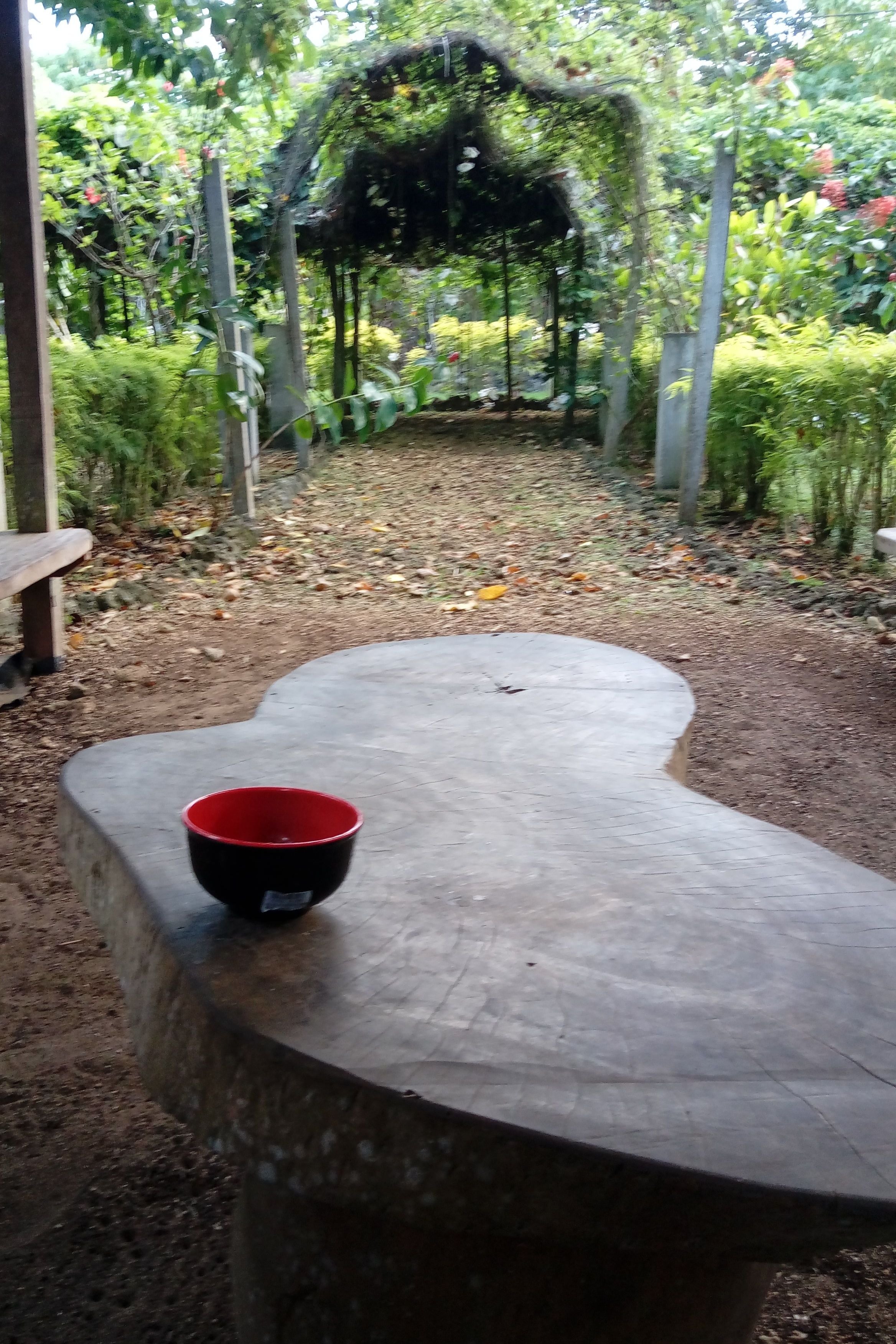 Nakamal Nights Traditional Kava
